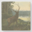 Suche nach elche untersetzer Natur