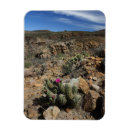 Suche nach farbbild magnete Blume