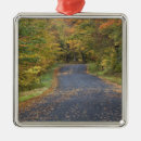 Suche nach herbstlaub ornamente Usa