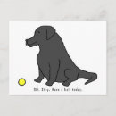 Suche nach labor postkarten Labrador retriever