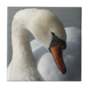 Suche nach schwan fliesen Wasservogel