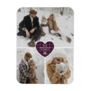 Suche nach büffel magnete Für alle