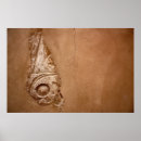 Suche nach hieroglyphen ägypten poster Tempel