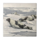 Suche nach eisberge fliesen Siegel