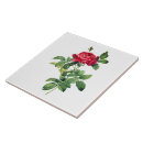 Suche nach rote rose fliesen Jede person