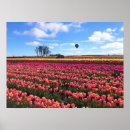 Suche nach hot air balloon poster Flowers