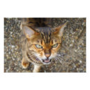 Suche nach kitschige poster Wild