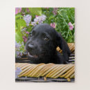 Suche nach labrador retriever puzzle Niedlich