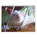 Suche nach ratten kalender Haustiere