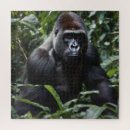Suche nach gorilla puzzle Affe