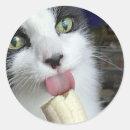 Suche nach snacks aufkleber Obst