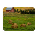 Suche nach heu magnete Landwirtschaft