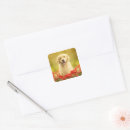 Suche nach goldenes lächeln aufkleber Goldene retriever