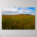 Suche nach prairie poster Gras