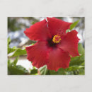 Suche nach oahu postkarten Bunt