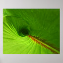 Suche nach grüne spirale poster Rot