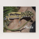 Suche nach gecko puzzle Natur
