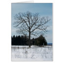 Suche nach madison wi postkarten Wisconsin