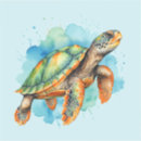 Suche nach schildkröte liebe aufkleber Ozean