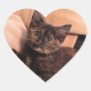 Suche nach schildpatt aufkleber Tortie