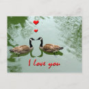 Suche nach liebevögel postkarten Für alle