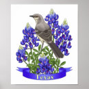 Suche nach spottdrossel poster Texas