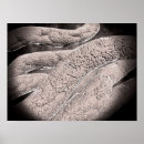 Suche nach pathologie poster Gesundheitswesen