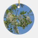 Suche nach frühlings blumen ornamente Blüten