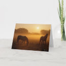 Suche nach araber karten Stehend