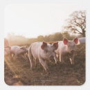 Suche nach hybrid aufkleber Natur