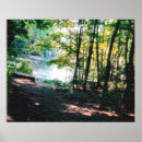 Suche nach licht und schatten poster Natur