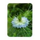 Suche nach kornblumen magnete Für alle