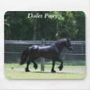 Suche nach trab Pony