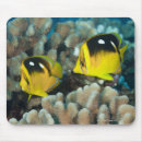 Suche nach unterwasser mousepads Zusammengehörigkeit