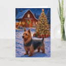 Suche nach australischer terrier Liebe