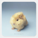 Suche nach fußboden aufkleber Kamera betrachten