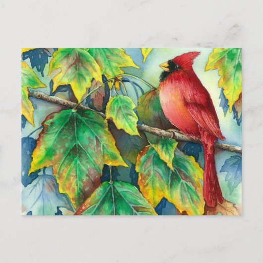 0004 KardinalPostkarte Postkarte (Vorderseite)