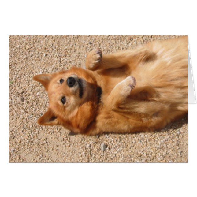 0006Bauchfäule aus Kupfer (Vorderseite (Horizontal))