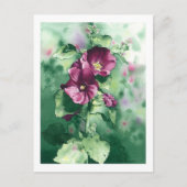 0007 Dorothy's Hollyhocks Postcard Postkarte (Vorderseite)
