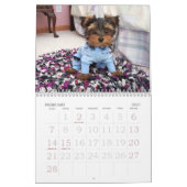 000_0011, OLIVER-LIEBE-GROSSVATER, Kalender 2008 (Feb 2027)