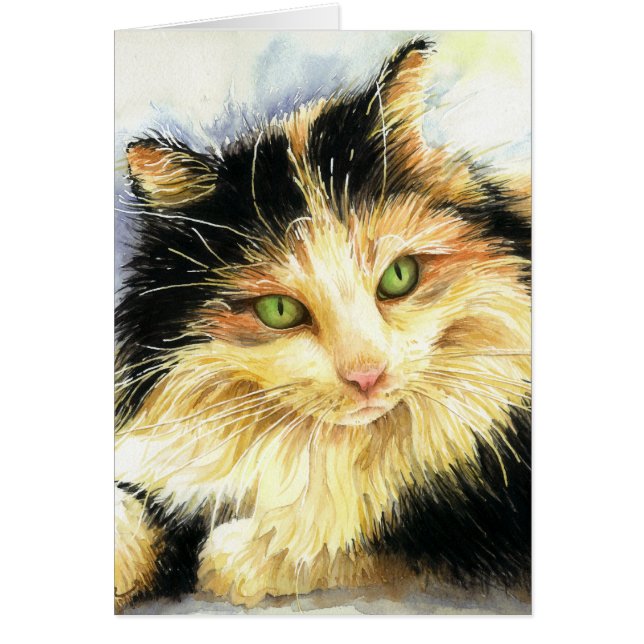 0010 Calico Cat (Vorne)