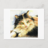 0010 Calico Cat Postkarte (Vorderseite)