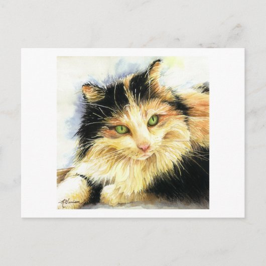 0010 Calico Cat Postkarte (Vorderseite)