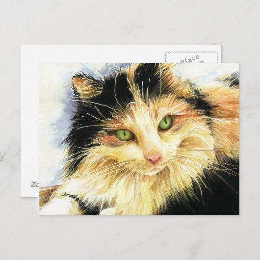 0010 Calico Cat Postkarte (Vorne/Hinten)