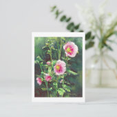 0013 Pink Hollyhocks Postkarte (Stehend Vorderseite)