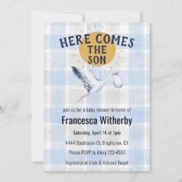 003 Cobalt 020 Fog Sun Plaid Stork Baby Shower Einladung