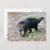 003Barkat Postkarte (Vorne/Hinten)