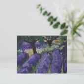 0063-le champ de lavande postkarte (Stehend Vorderseite)