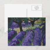 0063-le champ de lavande postkarte (Vorne/Hinten)