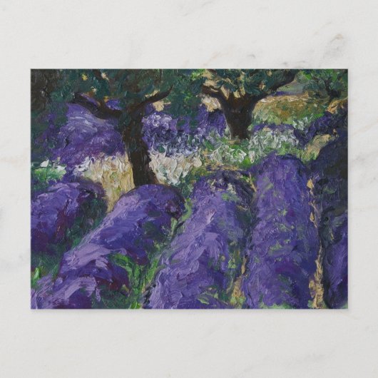 0063-le champ de lavande postkarte (Vorderseite)